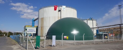 INTEGRATION OF BIOGAS INTO NATURAL GAS BOILER